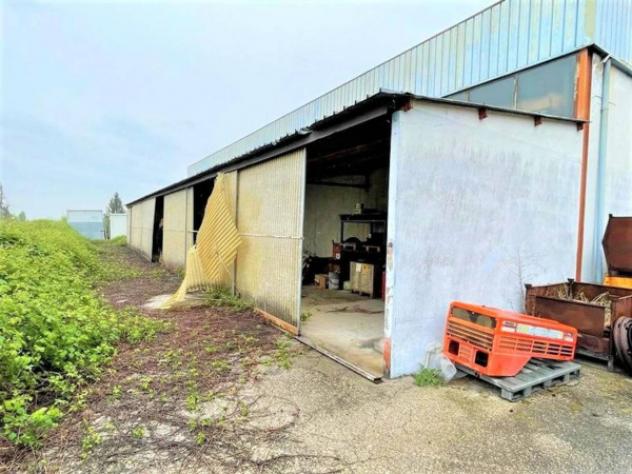 Immobile in asta di 1409 m² in vendita a Nogarole Rocca - Foto 7