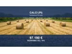 Immobile in asta di 34920 m² in vendita a Calci