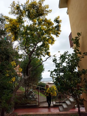 Varazze appartamento con giardino centrale Vista mare - Foto 8