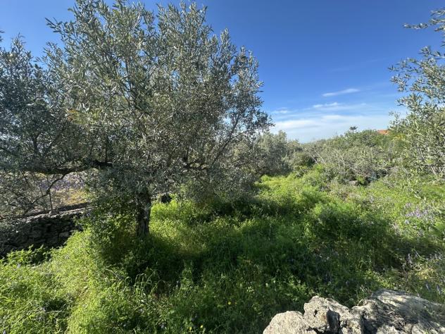 Agricolo in vendita a Misterbianco - Foto 2