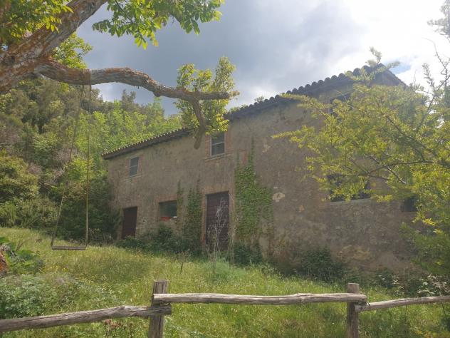 Casale in vendita a Orvieto - Foto 12