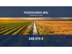 Immobile in asta di 385860 m² in vendita a Pozzolengo