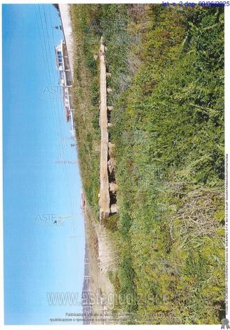 IMMOBILI-ALTRA CATEGORIA-via Aurelia Km 58.00 - Foto 6