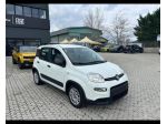 FIAT Panda Cross Panda III Cross Panda 1.0 firefly hybrid City Cross s&s 70cv
