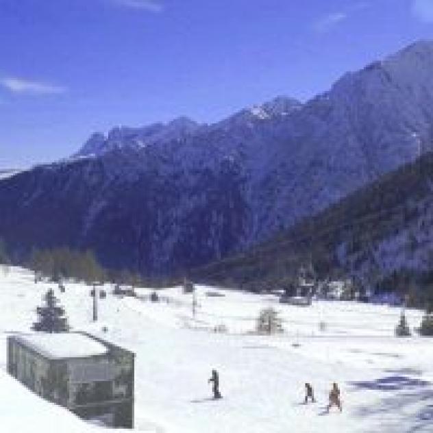 Alpino S.r.l. - Foto 2