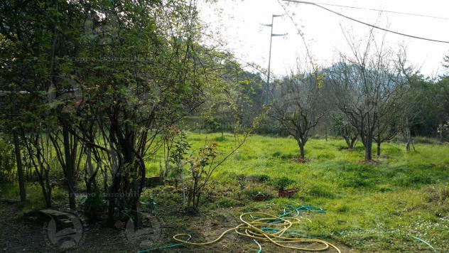Alassio, terreno di circa 6.000 mq. con progetto per costruire una villa. - Foto 18
