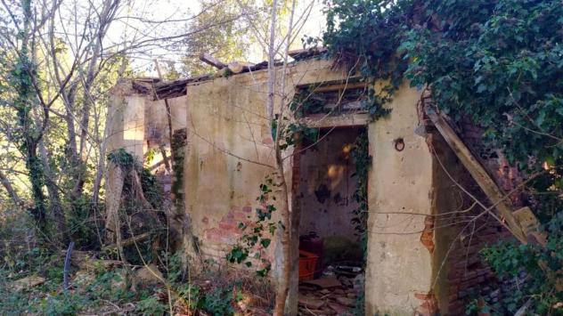 Bellissimo Casale Diruto Da Restaurare Immerso nel Verde delle Colline Pisane della Valdera - Foto 5
