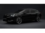 CUPRA Formentor Formentor 2.0 tdi Business 150cv dsg