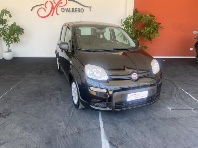 FIAT Panda 1.0 FireFly 70cv S&S Hybrid - Foto 2
