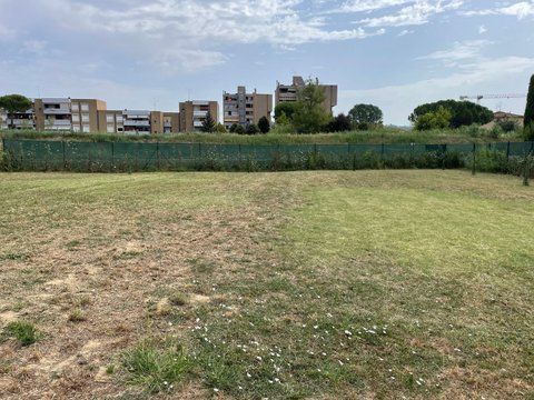 Vendesi terreno agricolo - Foto 8