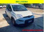 FIAT Panda 1.0 FireFly S&S Hybrid rif. 24148647