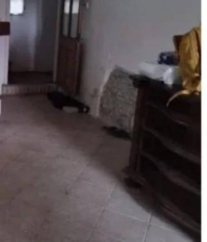 Immobile in asta di 209 m² in vendita a Carlino - Foto 12