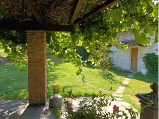 Appartamento in affitto a Calcinaia 40 mq  Rif: 1429448