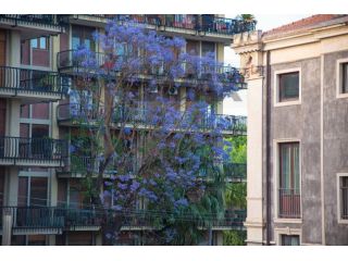 Stanza in affitto a Catania, Zona centro