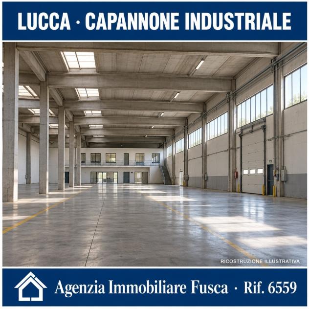 Industriale/Artigianale in vendita a Lucca - Foto 11