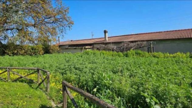Immobile in asta di 5920 m² in vendita a Portigliola - Foto 19