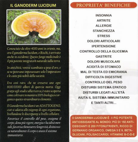 Ganoderma Lucidum / Reishi - Foto 5