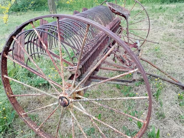 Antica rastrellatrice a cavallo - Foto 3
