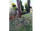 BICICLETTA  LEGNANO  DAISY SPORT   donna