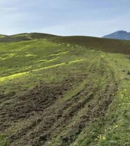 Immobile in asta di 31288 m² in vendita a Castronovo di Sicilia - Foto 5