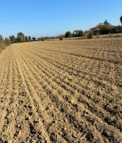 Immobile in asta di 27556 m² in vendita a Cesena - Foto 5