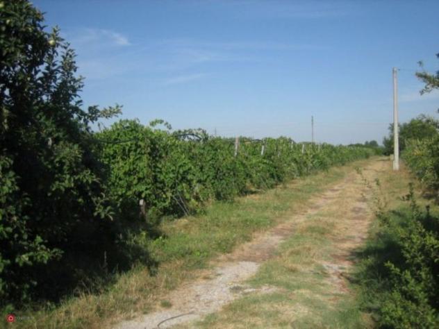 Terreno agricolo in Vendita in Via Carpi Ravarino 619 a Soliera - Foto 8