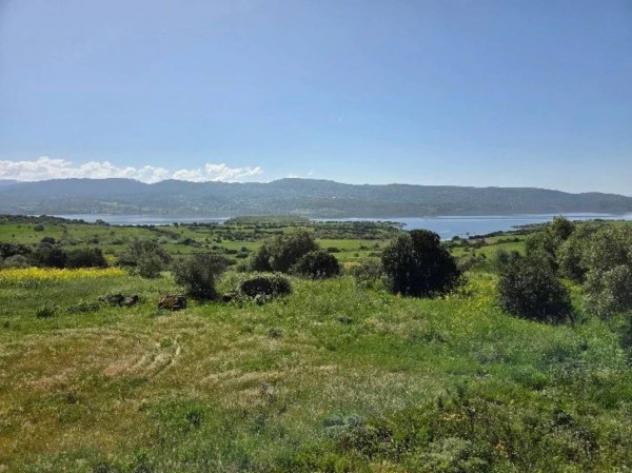 Immobile in asta di 78608 m² in vendita a Sedilo - Foto 19