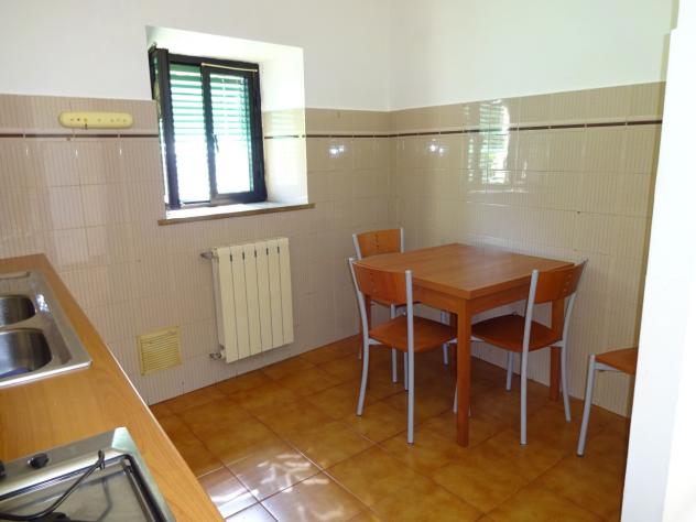 Bilocale in affitto a Siena - Foto 8