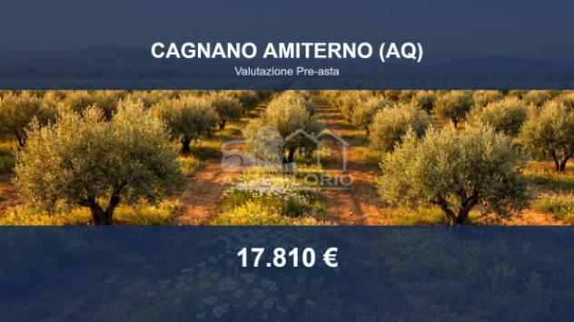 Immobile in asta di 2710 m² in vendita a Cagnano Amiterno