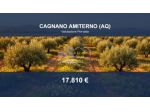 Immobile in asta di 2710 m² in vendita a Cagnano Amiterno