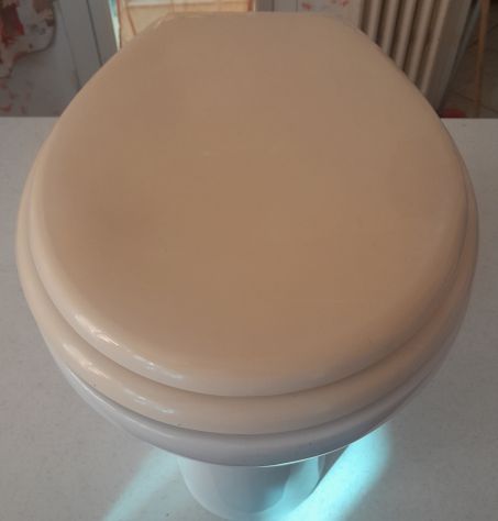 WC  Water Vaso Pozzi Ginori completo di Tutto - Foto 6