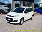 FIAT Panda 1.0 FireFly S&S Hybrid Icon rif. 23525898