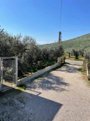 Immobile in asta di 224 m² con più di 5 locali in vendita a Sezze - Foto 2