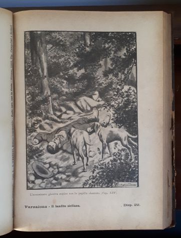 Varsalona IL BANDITO SCILIANO, ENRICO MISERENDINO MORELLI, G. Nerbini 1905. - Foto 6