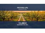 Immobile in asta di 140165 m² in vendita a Peccioli