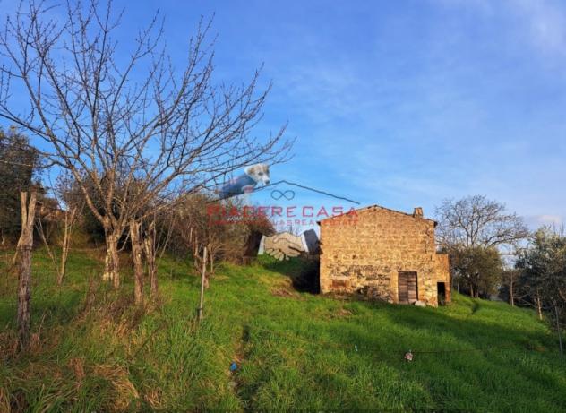Bagnoregio (Civita di Bagnoregio) - Vendesi casale da ristrutturare con terreno in un bel contesto di campagna. - Foto 3