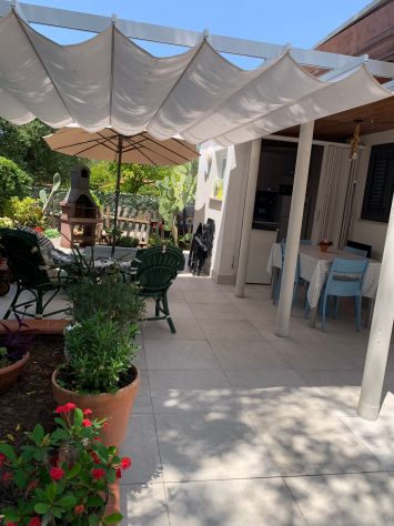 Estate a Marina di Camerota (Cilento, SA) - Foto 9
