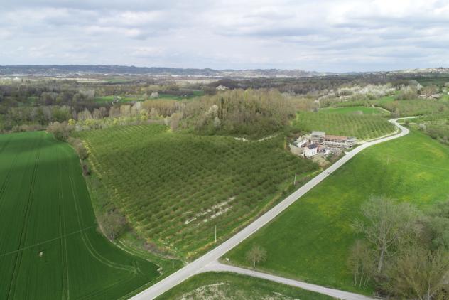 Agricolo in vendita a Cherasco - Foto 6