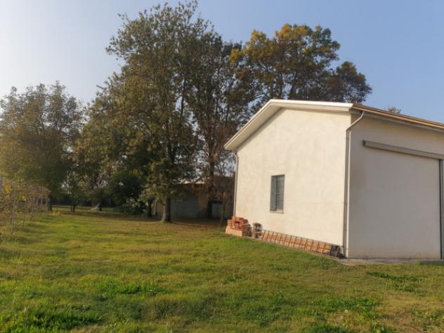 Terreno di 15000 m² in vendita a Correggio - Foto 8