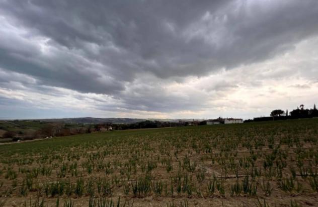 Immobile in asta di 15707 m² in vendita a Mondolfo - Foto 5