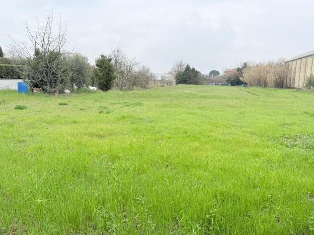 Terreno agricolo in vendita a Santa Croce sull'Arno 2685 mq Rif: 1396793 - Foto 2