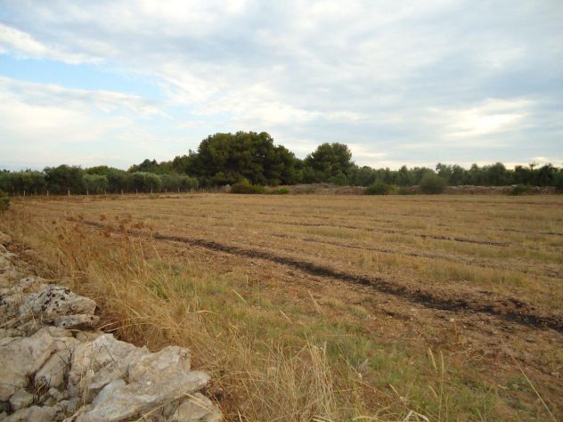 Terreno verde-attrezzato 500mt dal mare a Borraco (Manduria -TA) - Foto 3