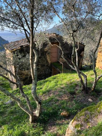 Casa singola in vendita a Calci 220 mq Rif: 1317271 - Foto 8