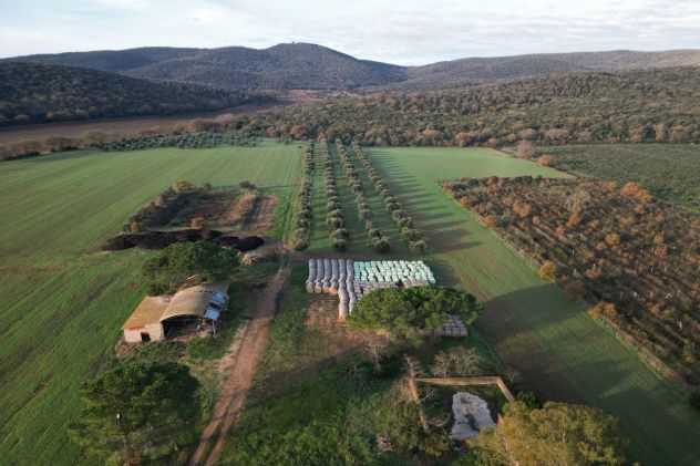 Magliano in Toscana, Podere Pantanella unione di passione e buon gusto - Foto 13