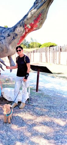Badante domestico autista custode tutto fare - Foto 3