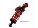 Monoammortizzatore per Ducati  V2 1199 1299 Bitubo cartucce doppia regolazione