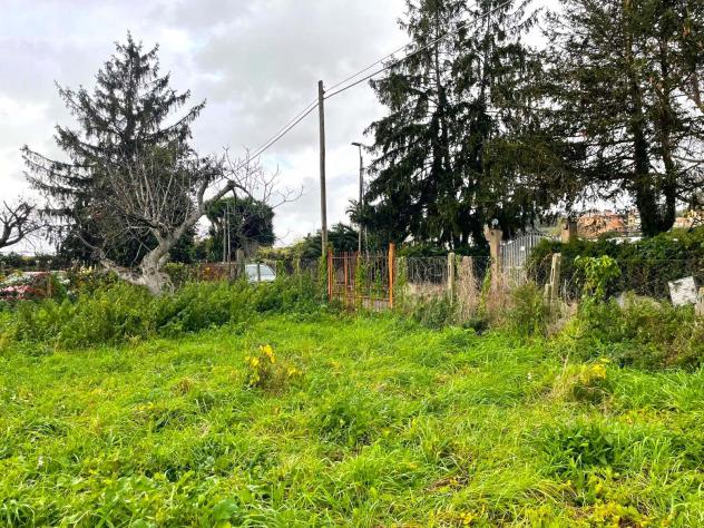 Agricolo in Via Casaletto - Foto 5