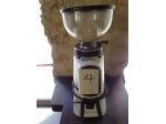 Macinacaffè Fiorenzato AllGround 250W made in Italy