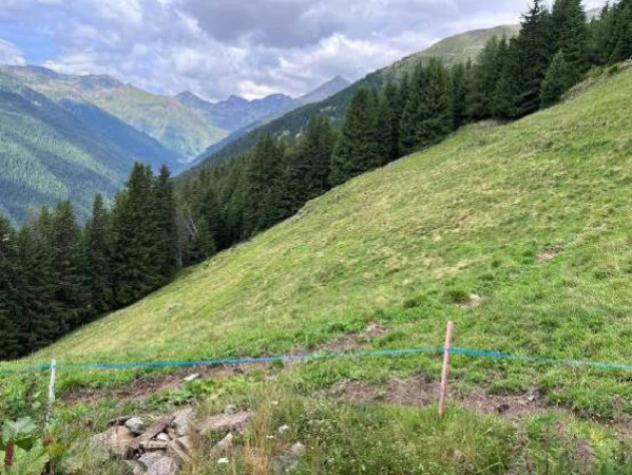Immobile in asta di 2040 m² in vendita a Grosio - Foto 12
