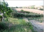 Rustico in vendita a Offida